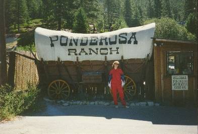 Ponderosa